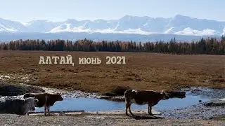 2021-06-18 - Поездка на Алтай с Зинуром