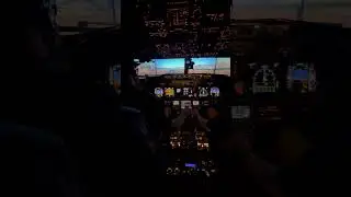 Full B737 Sim Landing View #flightsimulator