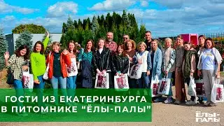 Гости из Екатеринбурга в питомнике ЁЛЫ ПАЛЫ