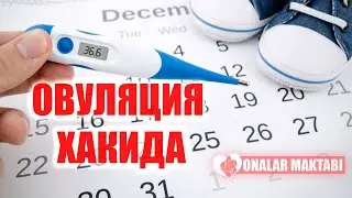 Овуляция Хакида  || Ovulyatsiya Haqida ( 