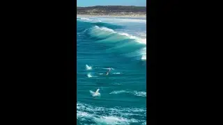 Flipping the script on ocean acrobatics. 🐬🤙🏾📍 