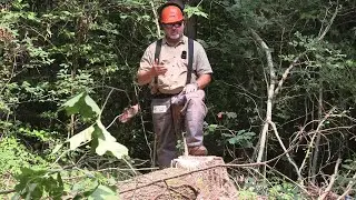 Cabin Build Part 3 - Learn Chainsaw Safety With Me