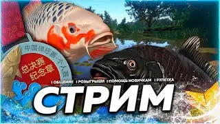 🔥МЕДНОЕ ⭐ ПРОВЕРЯЕМ ФАРМ КАРПОВ КОИ 🎁Рулетка & Розыгрыши 🏆 СТРИМ Русская Рыбалка 4