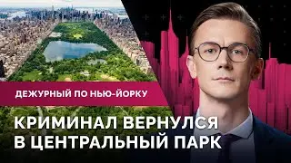Скарлетт Йоханссон против ИИ. Преступник в Центральном парке. Детский отдых в жару