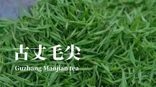It has a unique appearance, a pleasant aroma, a mellow taste古丈毛尖#production #countryside #中国传统技艺