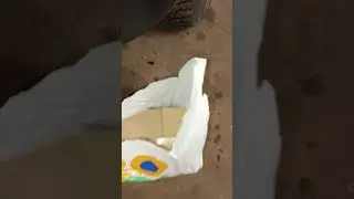 Рояль в кустах