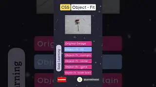 📚🔑how to use Object-fit in CSS | CSS Tutorials | #shorts #css #programming #computerscience