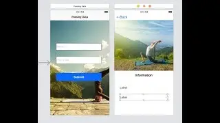 Passing Data Between View Controllers, iOS Swift