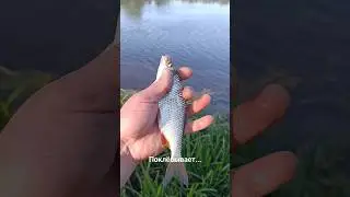 #рыбалка