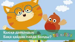 Мишо мен Робин - Бөлім 1 және 2 - Қысқа дайындық. Бақа қайдан пайда болды? - Мультфильмдер
