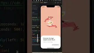 flutter ui splash screen 