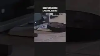 Memphis 1996 moment 