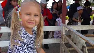 Alice feeds the sheep and rabbits on the farm