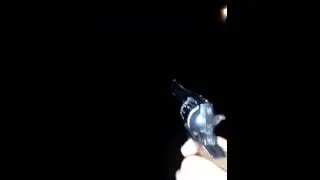 приключение зека в мире зомби 1 серия