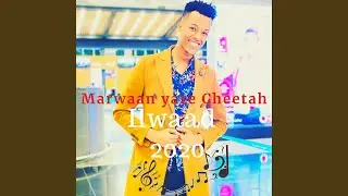 Ilwaad