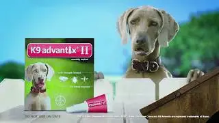 K9 Advantix® II Bug Zapper Commercial :15 - Flea, Tick & Mosquito Treatment for Dogs