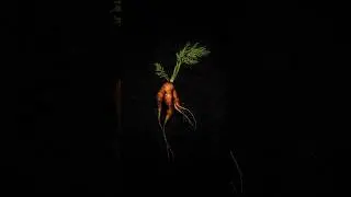 Do you believe food has a soul? Check out adriankuipers.com ❤️🥔 