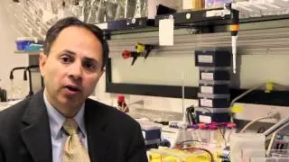 Imaging Technology Update from Dr. Sanjiv (Sam) Gambler of the Canary Center