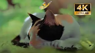 Stray MOD Play as Calico Cat Cute with Emissive Laser Eyes Gameplay PC [4K] %