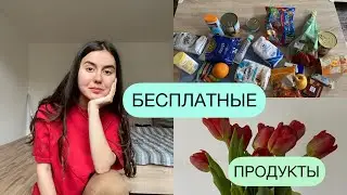 Бесплатные продукты в Германии для украинцев 