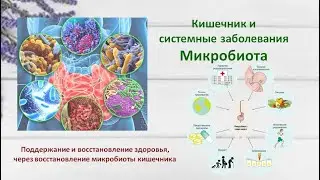 Микробиота. Оздоровление организма через Кишечник