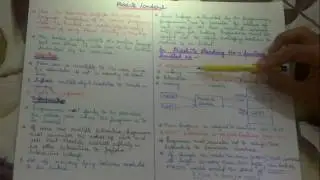 System Programming-Absolute Loaders
