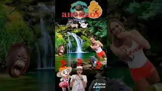 Анекдот от Александра. Что лучше - охота, рыбалка, грибы или секс? 2020 Hunting, fishing,  or sex?