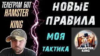 HAMSTER KING❗NEW RULES❗MY ACHIEVEMENTS AND TACTICS❗ 