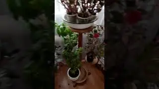 Маловато будет!