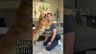 Teach your dog to hug! 