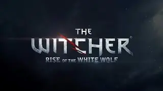 [2] Witcher: Rise of the White Wolf