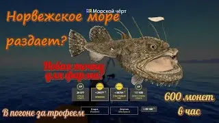 Норвежское море радует? Фарм на новой точке. 