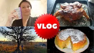 Кормушка из бутылки / Парафинотерапия для рук / Мрачное дерево /Манник