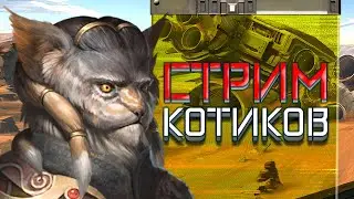 ЗАПИСЫВАЕМ STELLARIS И ОБЩАЕМСЯ 2 ;)