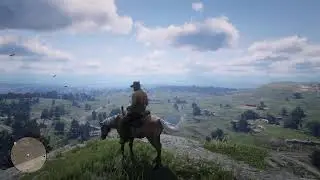 Red Dead Redemption 2 Стрим