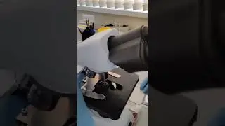 Могу ли я стать отцом? 