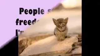 SCTA Presents - Animal's Problems, HELP them!