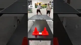 Top Trick Shots of All Time (30-21) 