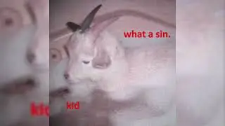 what a sin. - the other shoe (kid EP)