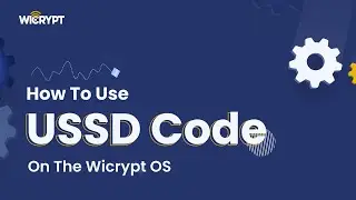 How to use USSD code on the Wicrypt OS