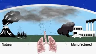 Getting better estimates of air pollution’s effect on health