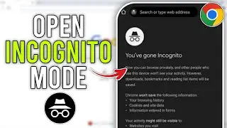 How to go Incognito Mode on Google Chrome (2024)