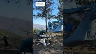 Hammock tent camping with a dog?? Answering your questions about the Haven Hammock Tent 