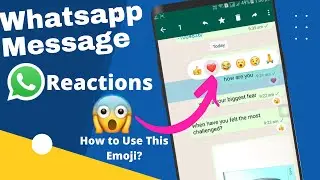 WhatsApp Message Reactions Feature BUT *How to Use* 😢