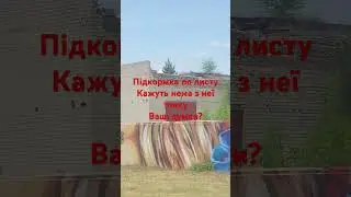 11 июня 2024 г.