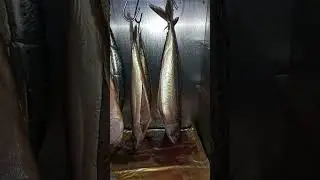 Коптильня холодного копчения Хобби Смок 3.0 , 31 декабря 2023 г.