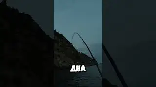 Как поймать ГОРБЫЛЯ на Чёрном море??? 