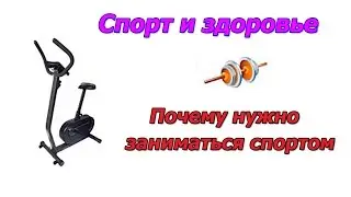 Спорт и здоровье Почему нужно заниматься спортом