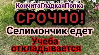 КончитаГладкПопка.Зовет Софию,МуШ это только вершина айсберга проблем.Продавать будет все вкл тряпье