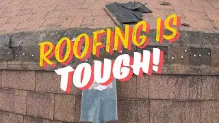 A Carpenter tries Roofing
